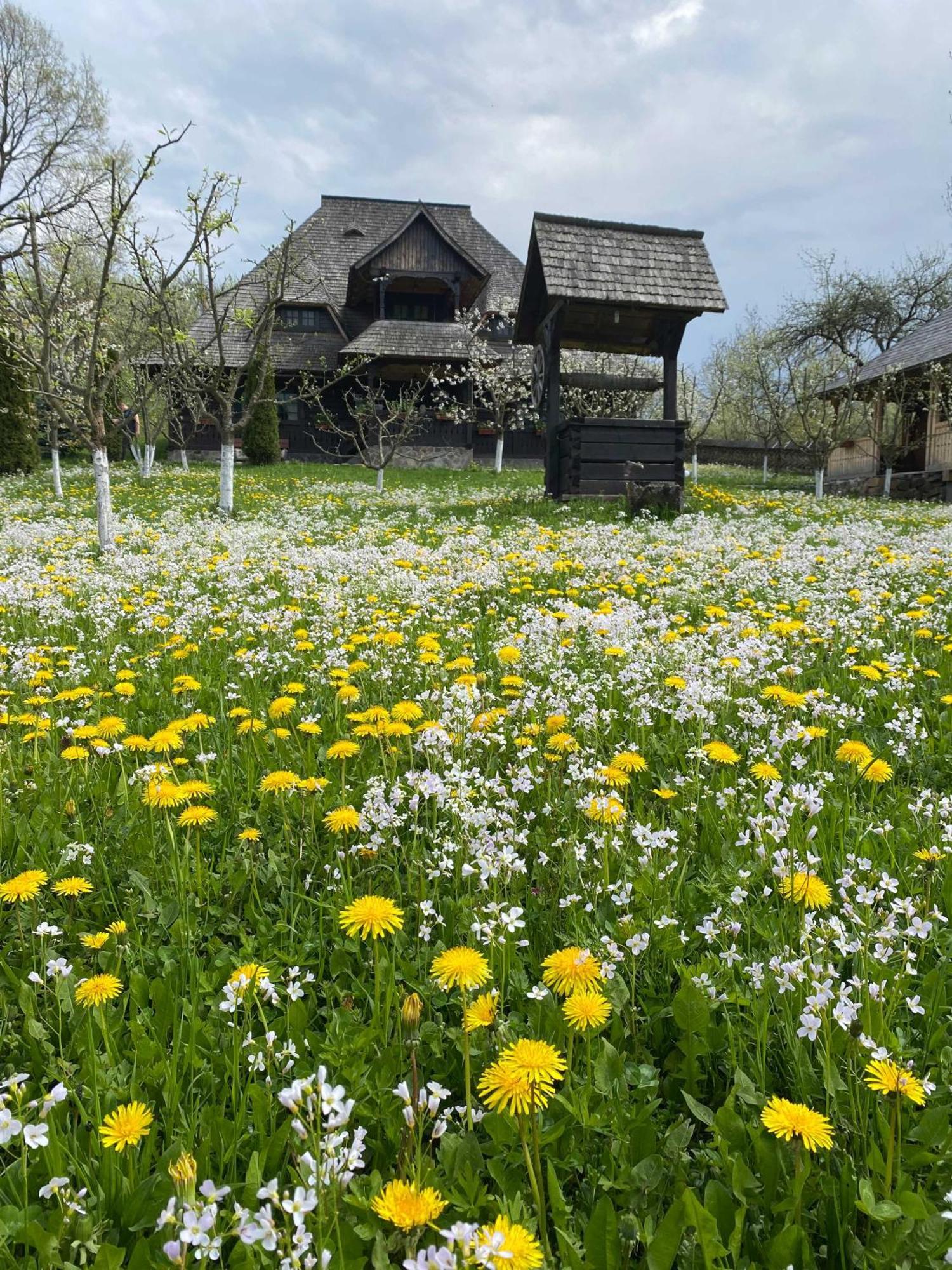 Casa De La Mara Pensionat Exteriör bild